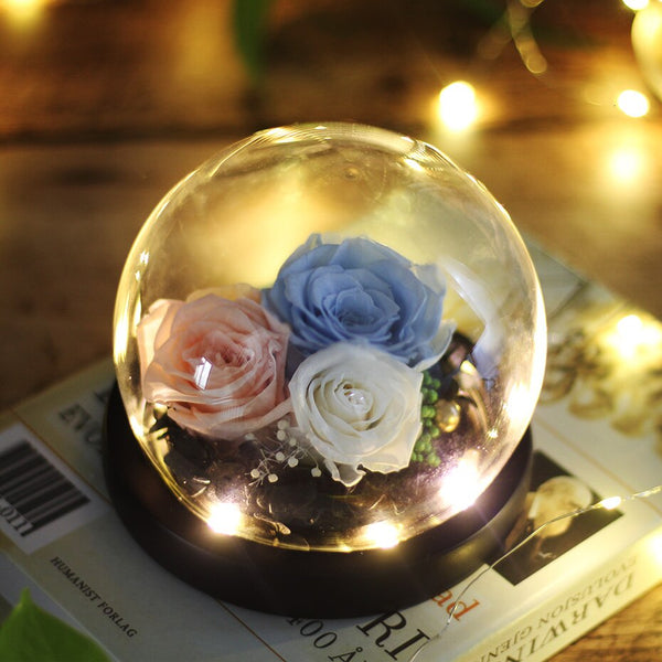 Preserved Flower Gift - Beauty And Beast