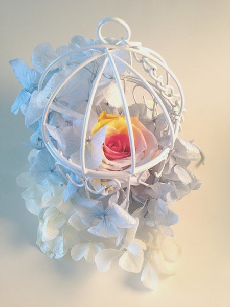 Preserved Flower Rose Cage - Rainbow Rose